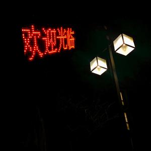 能看的草逼视频
