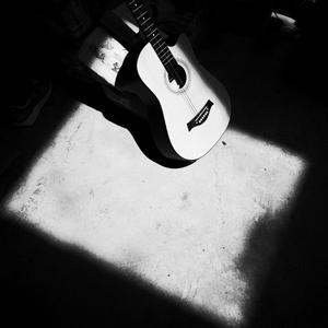 能看的草逼视频
